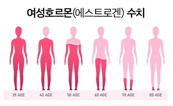 폐경기 여성 호르몬