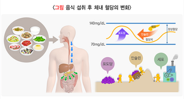 당뇨병