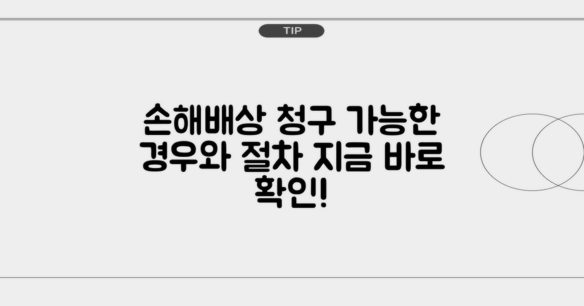 손해배상 청구, 가능한 경우와 절차