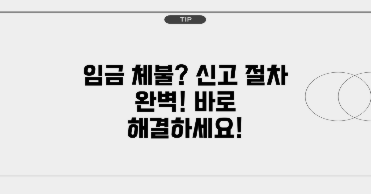 체불임금 신고 절차 완벽 안내