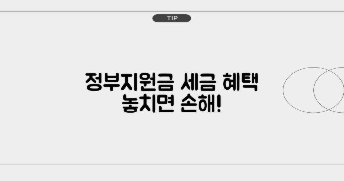 정부지원금 및 세제 혜택