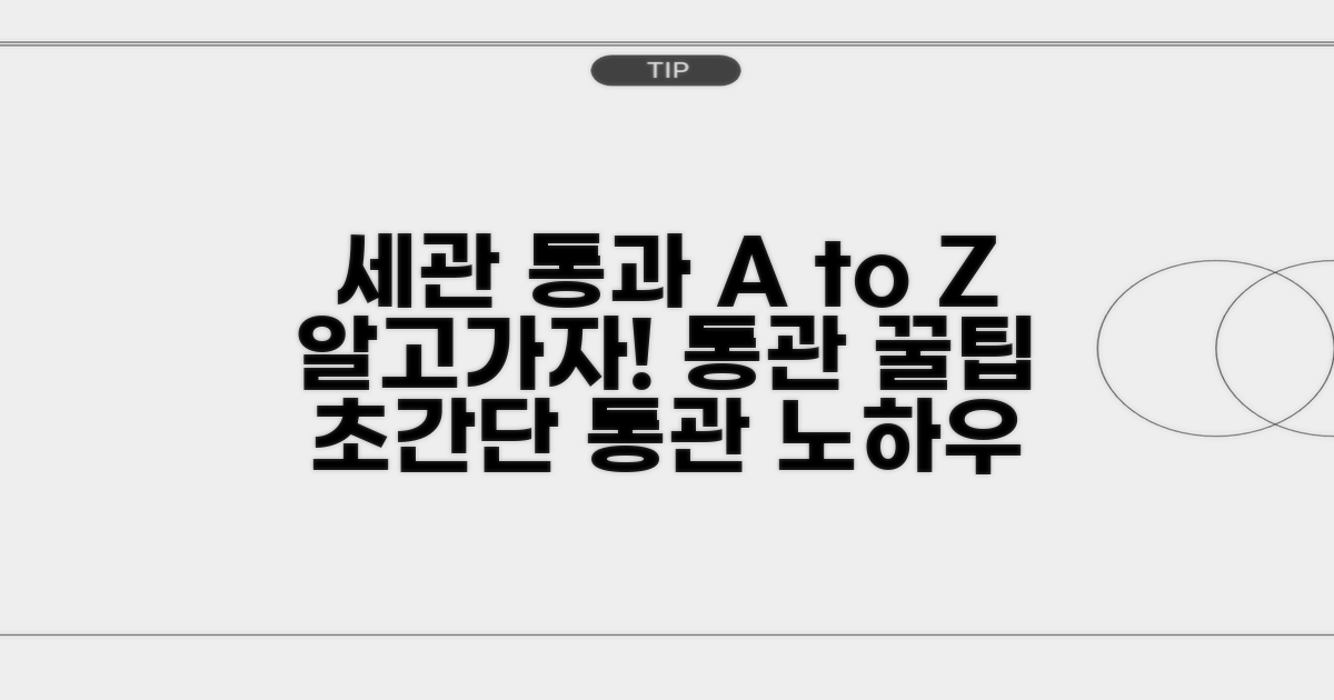 세관 통과 시 알아야 할 점