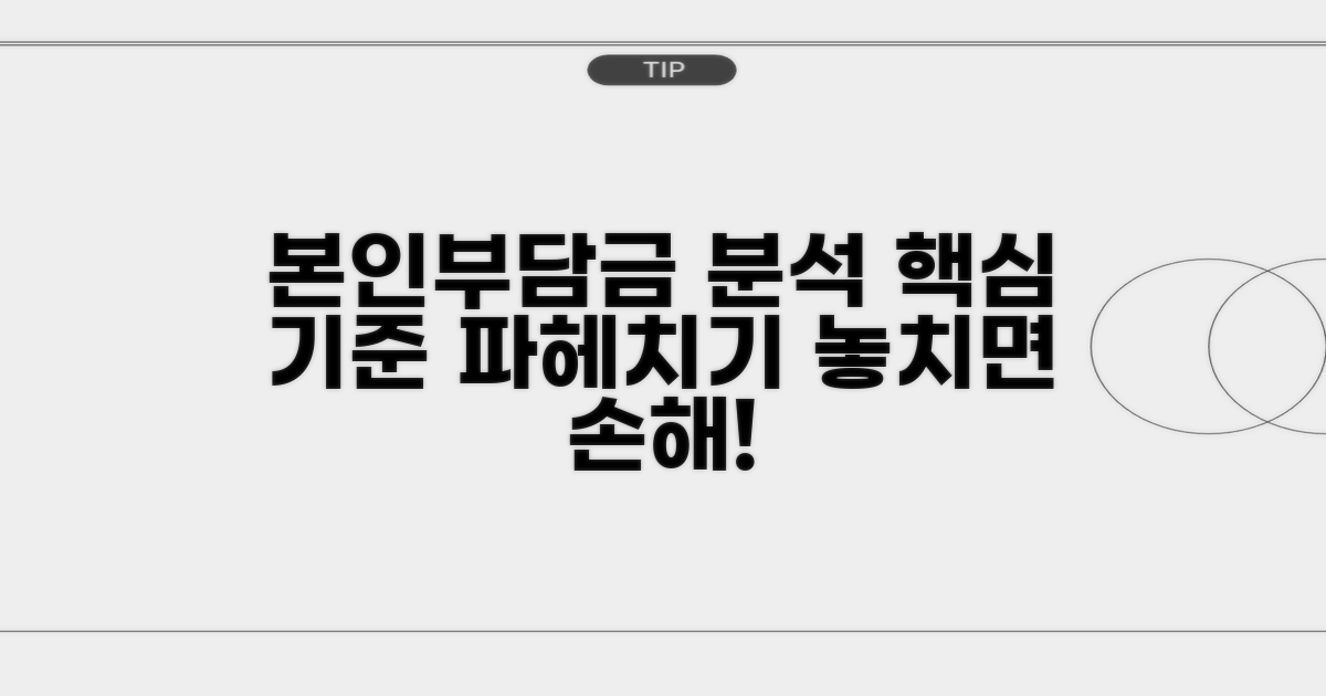 본인부담금 기준 상세 분석
