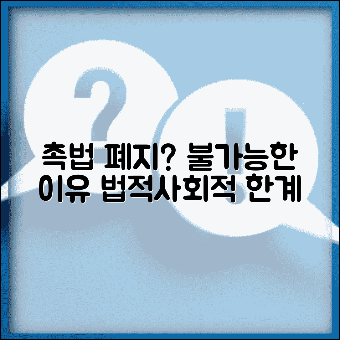 촉법소년 폐지 불가능 이유 법적 사회적 제약 분석