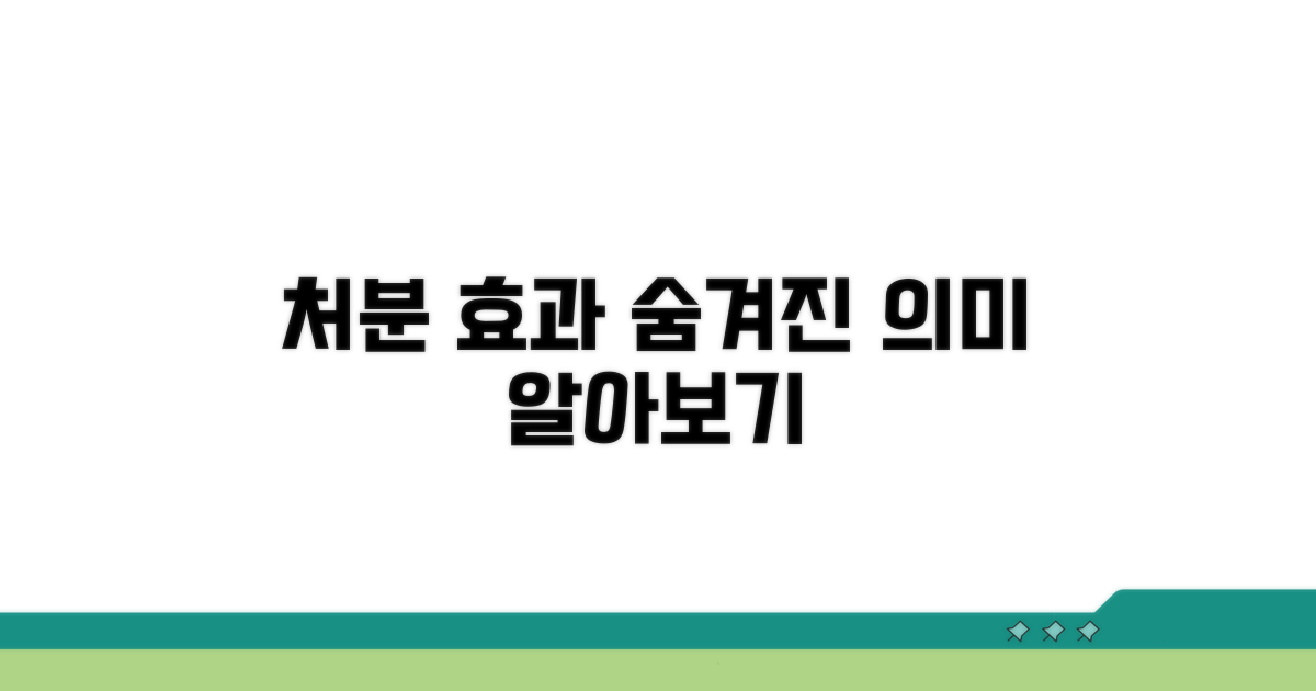 처분 효과와 숨겨진 의미