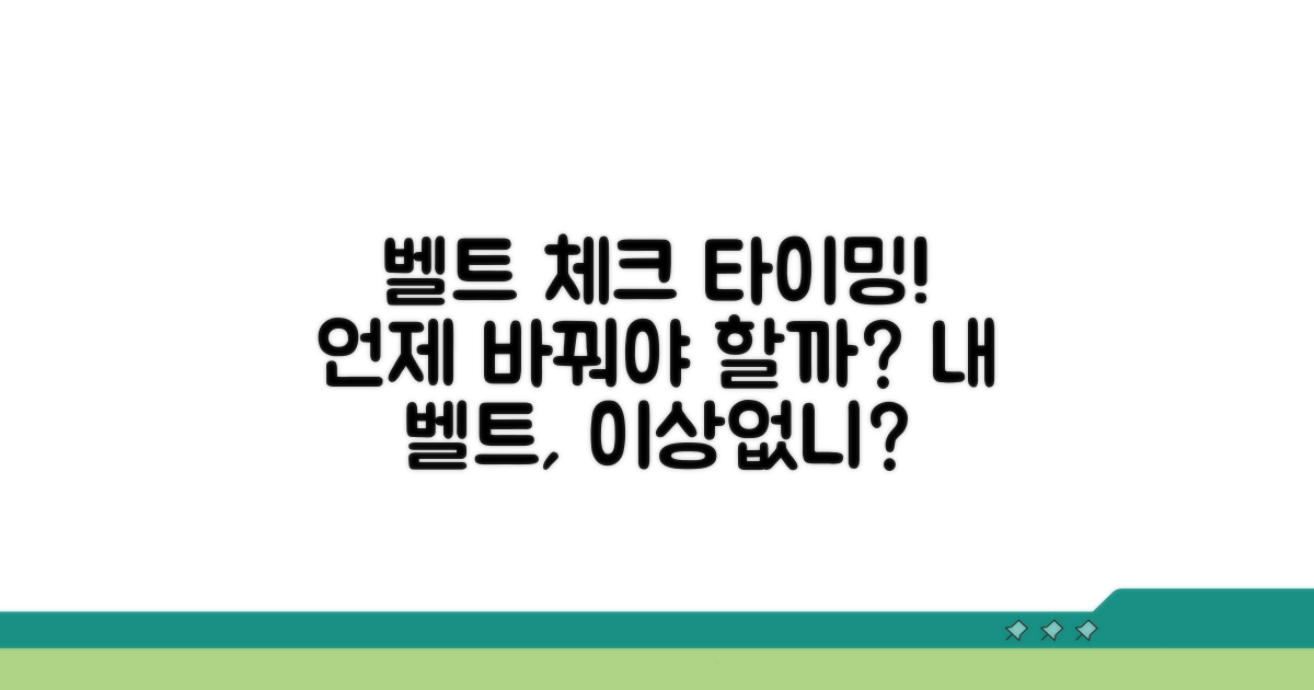 벨트 상태별 관리 시기 체크