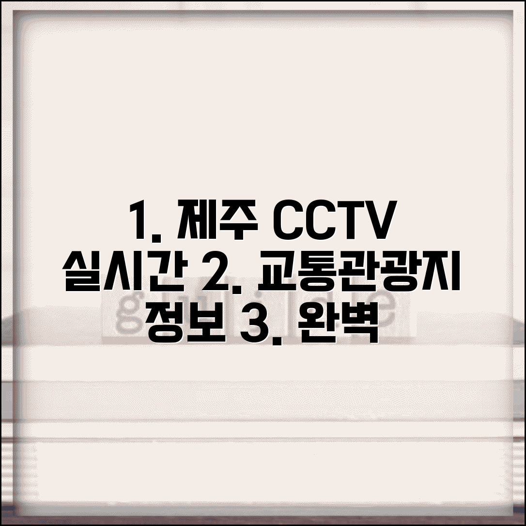 제주 cctv 실시간 교통정보 관광지 | 제주도 실시간 CCTV 완벽 확인법