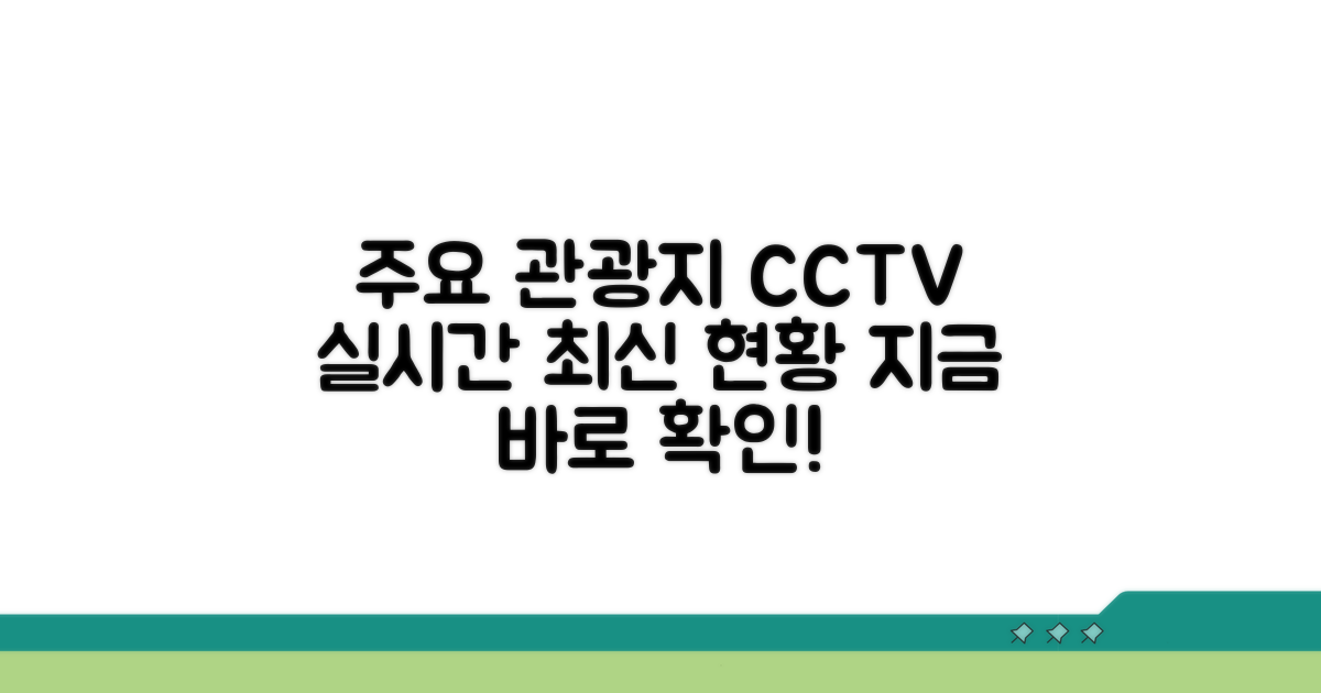 주요 관광지 CCTV 최신 현황 보기