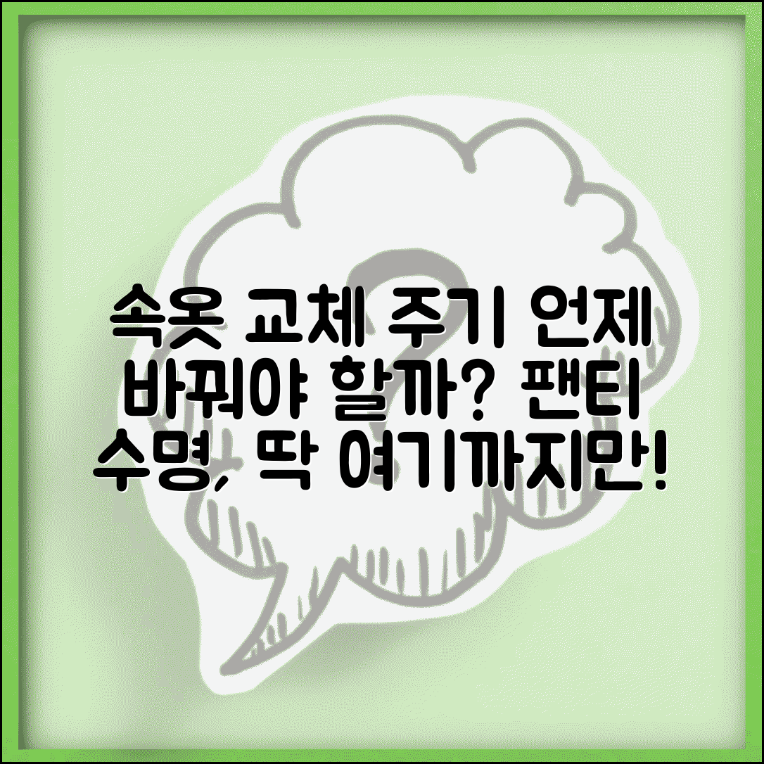 속옷 교체주기 | 속옷 팬티 교체 시기 수명