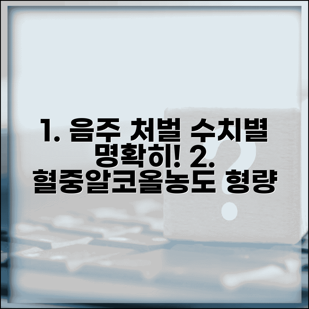 음주 처벌기준 혈중알코올농도별 | 음주 상태별 처벌과 형량 기준