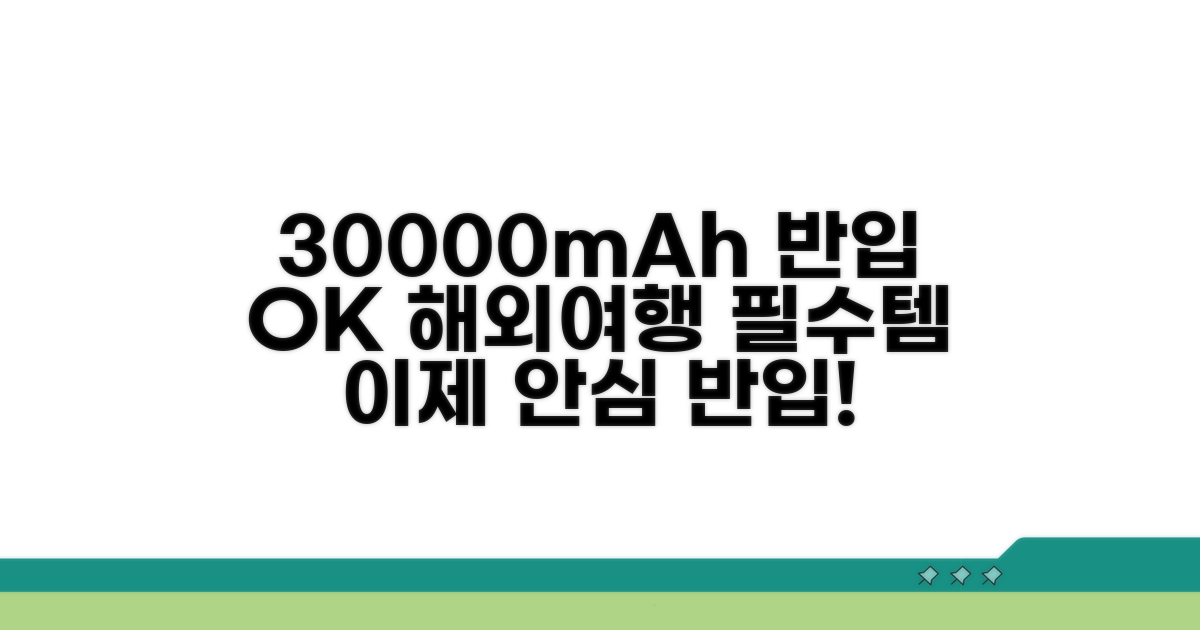 30000mAh 반입 승인 절차
