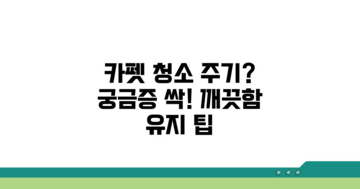 카펫 청소 주기, 궁금증 해결